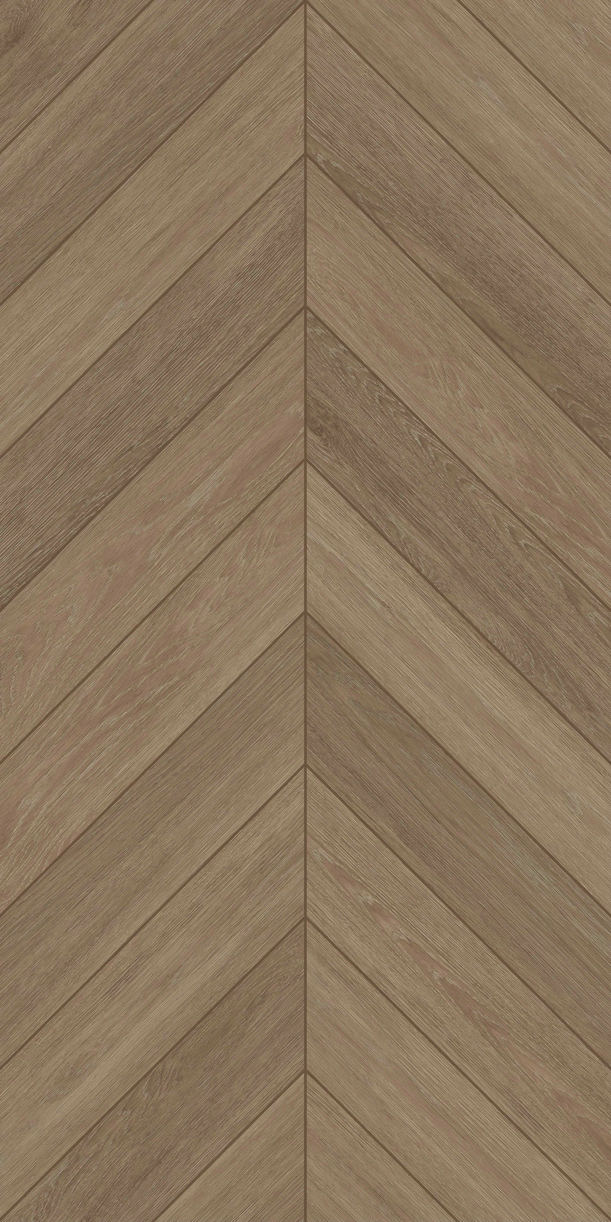 韻骨胡桃 FMJR126207C 產品圖