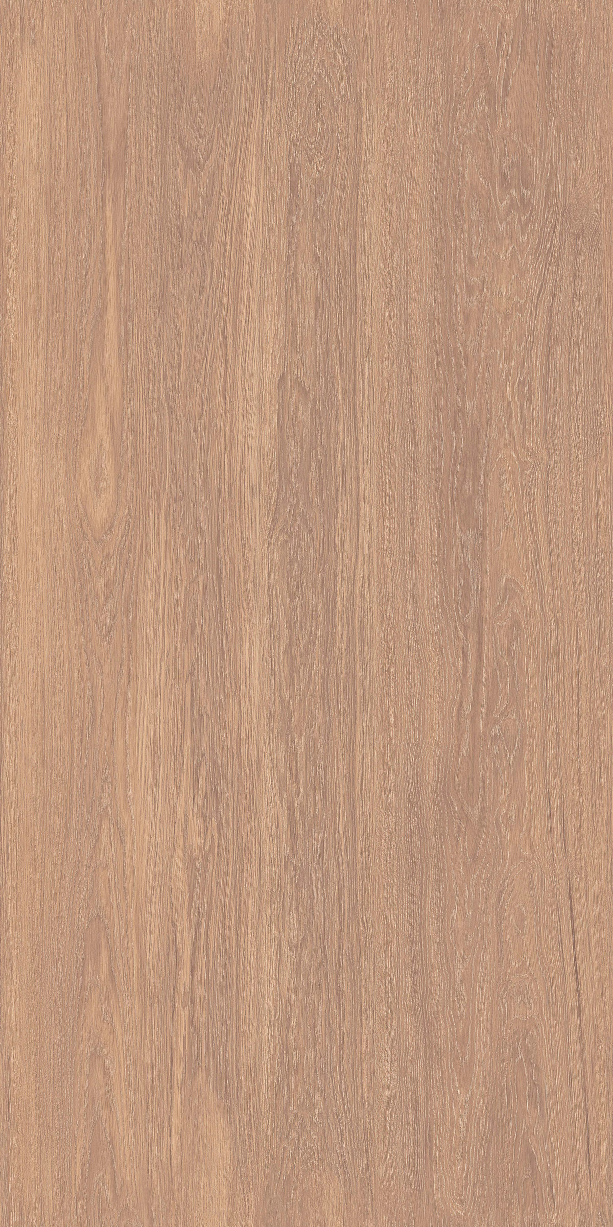 炭染榆木 FMJR126212C 產品圖