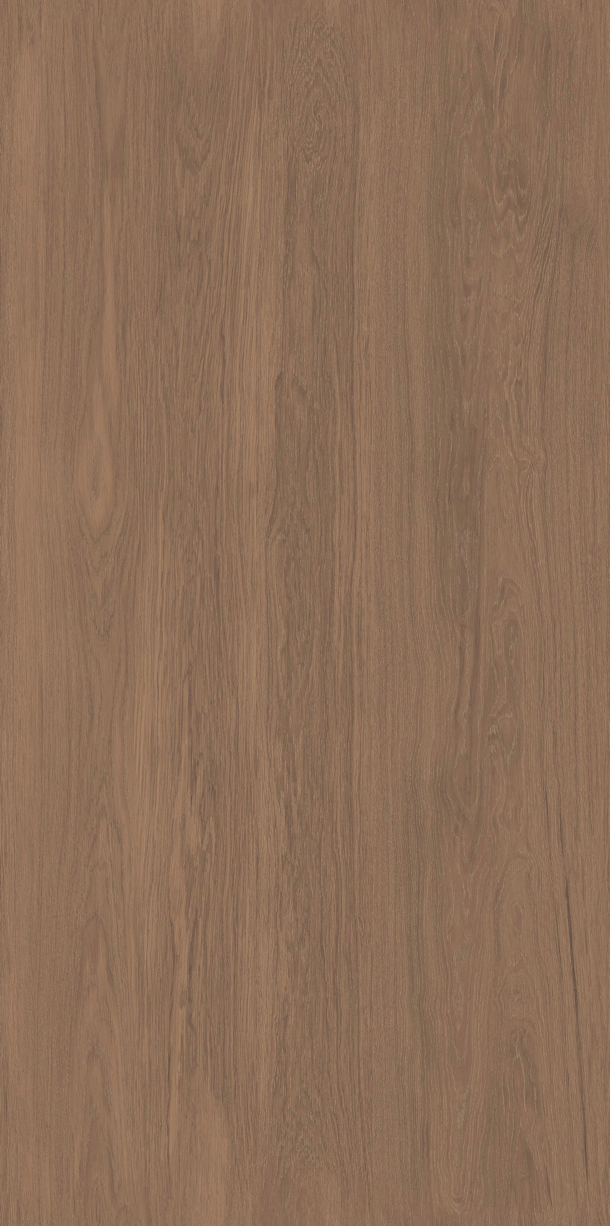 雨林橡木 FMJR126213C 產品圖