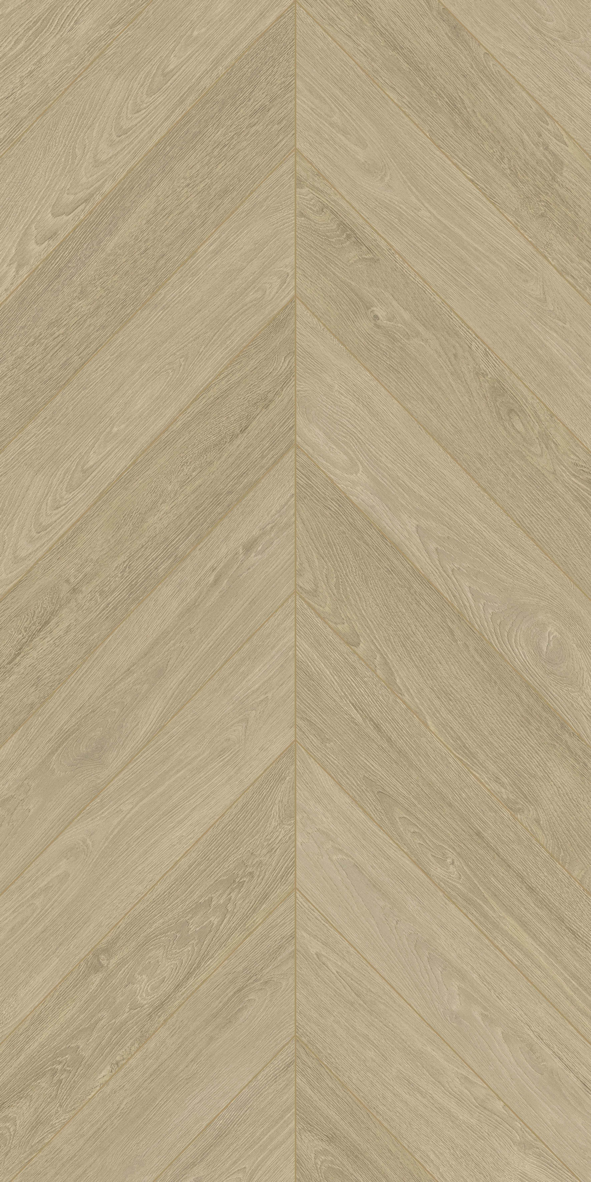 落葉喬木 FMSJ126205B 產品圖