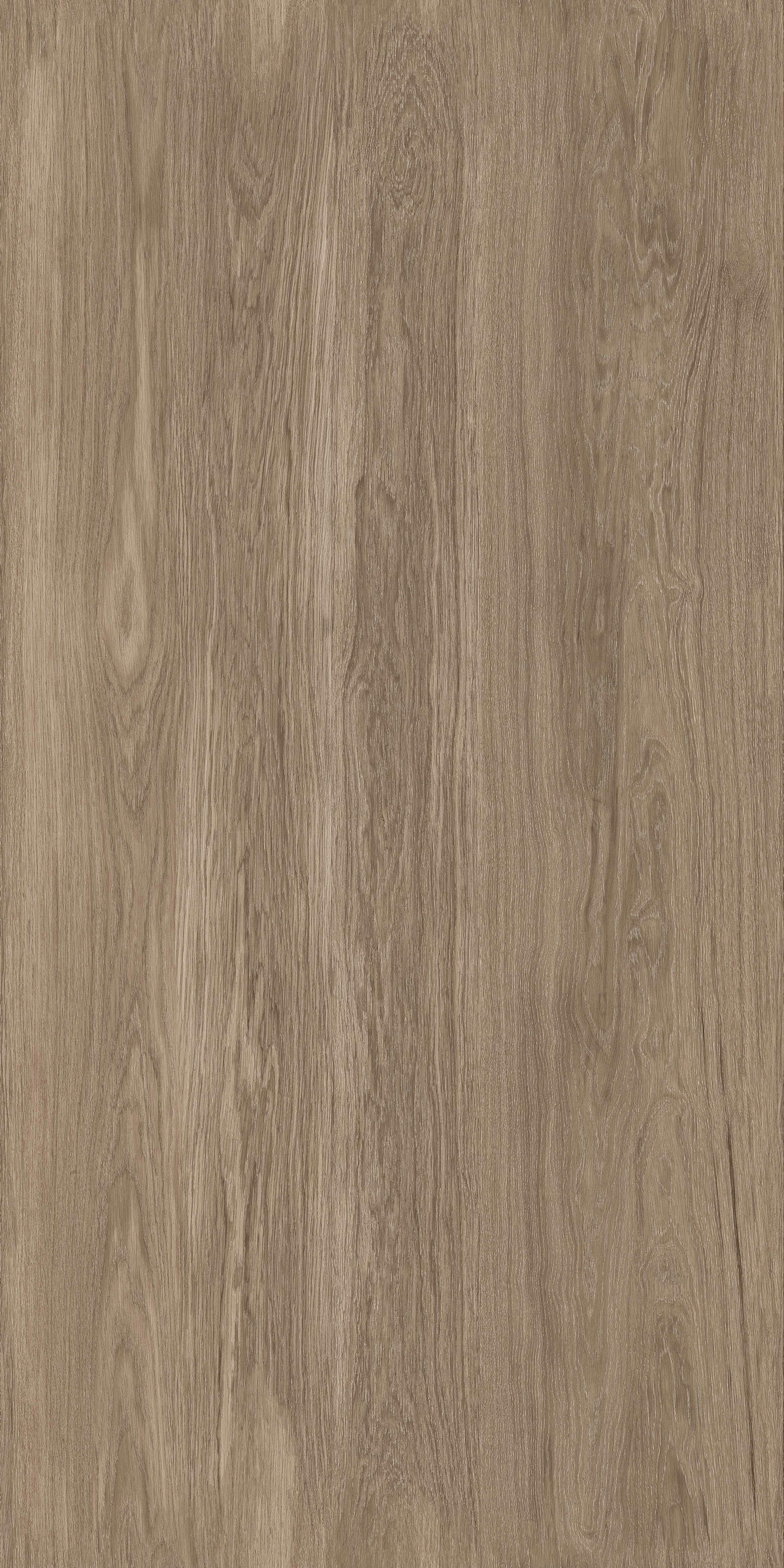 晨曦樺木 FMJR126211C 產品圖