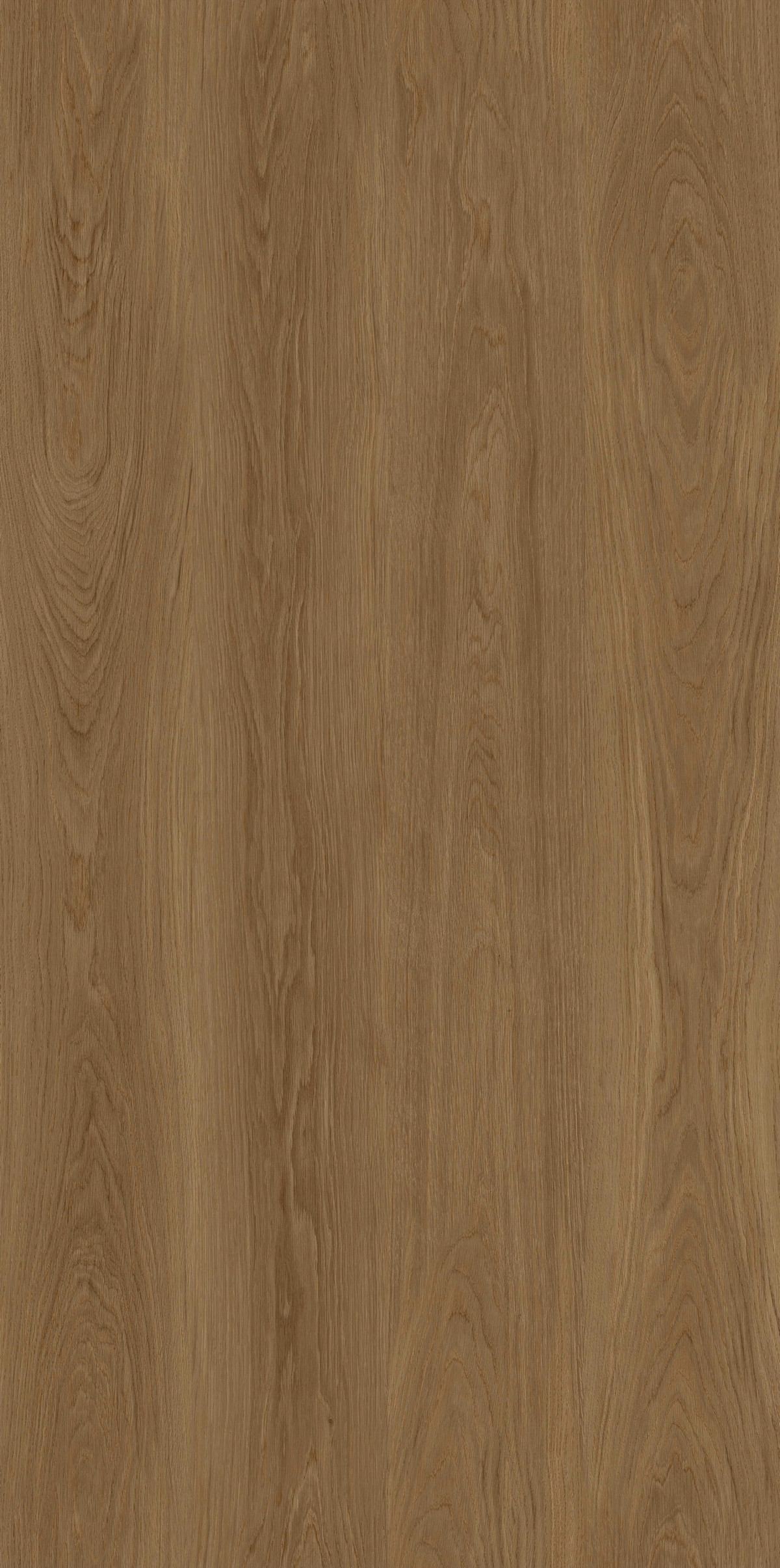 紫金柚木 FMJR715238B 產品圖