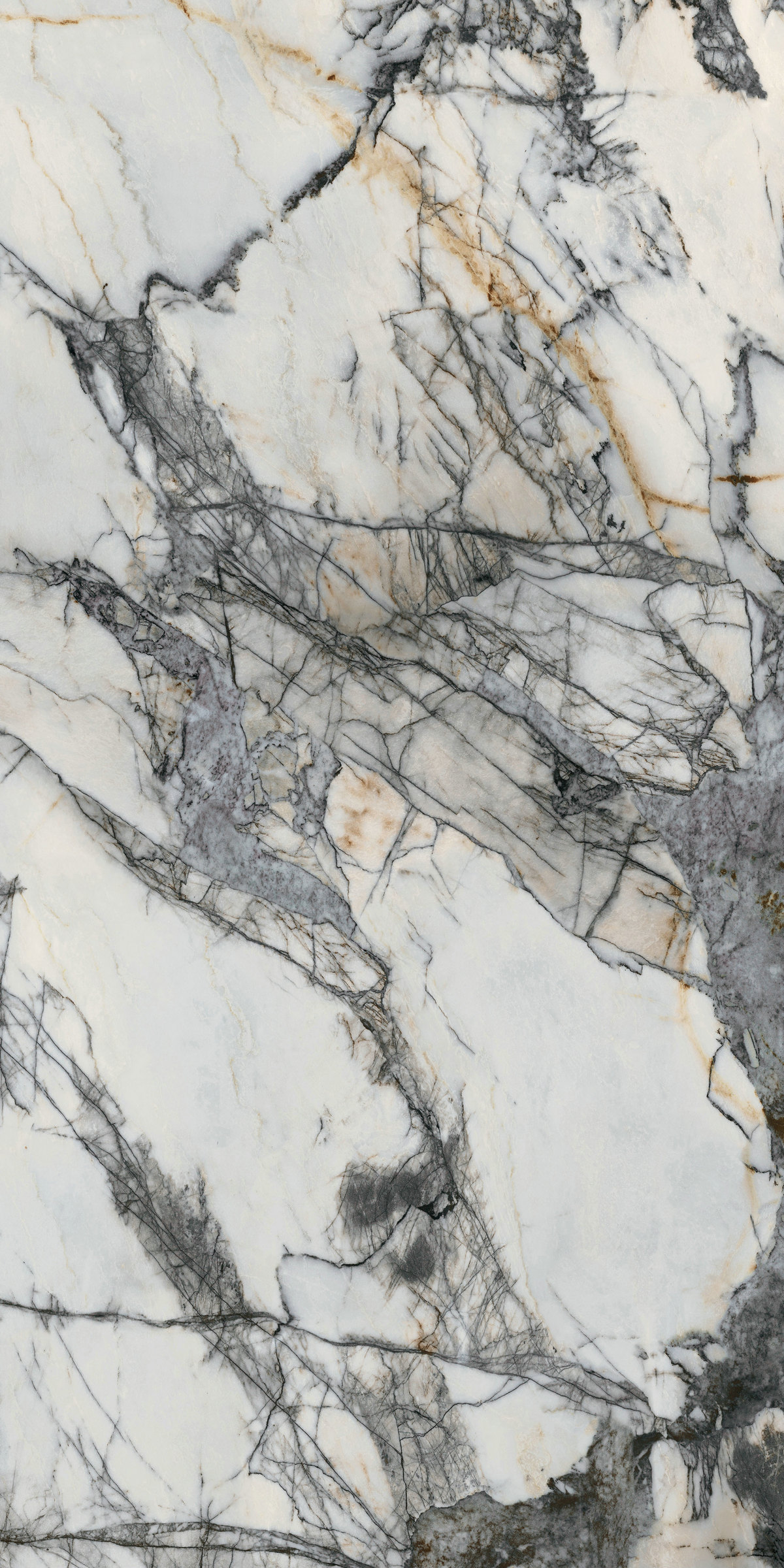 天堂鳥 QHA163212L309-A/B  產品圖