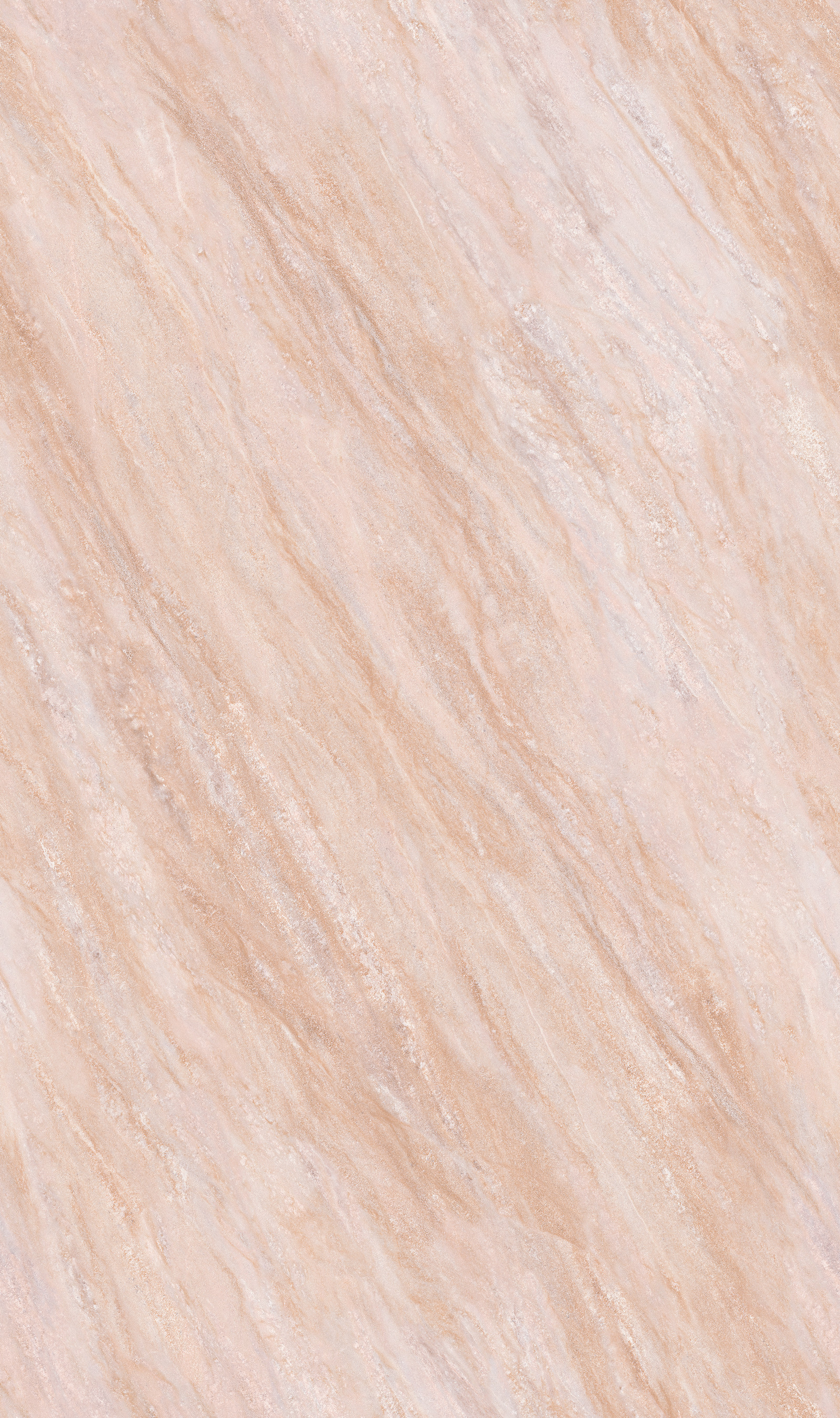 金玉滿堂 QCJ8135LW213B 產品圖