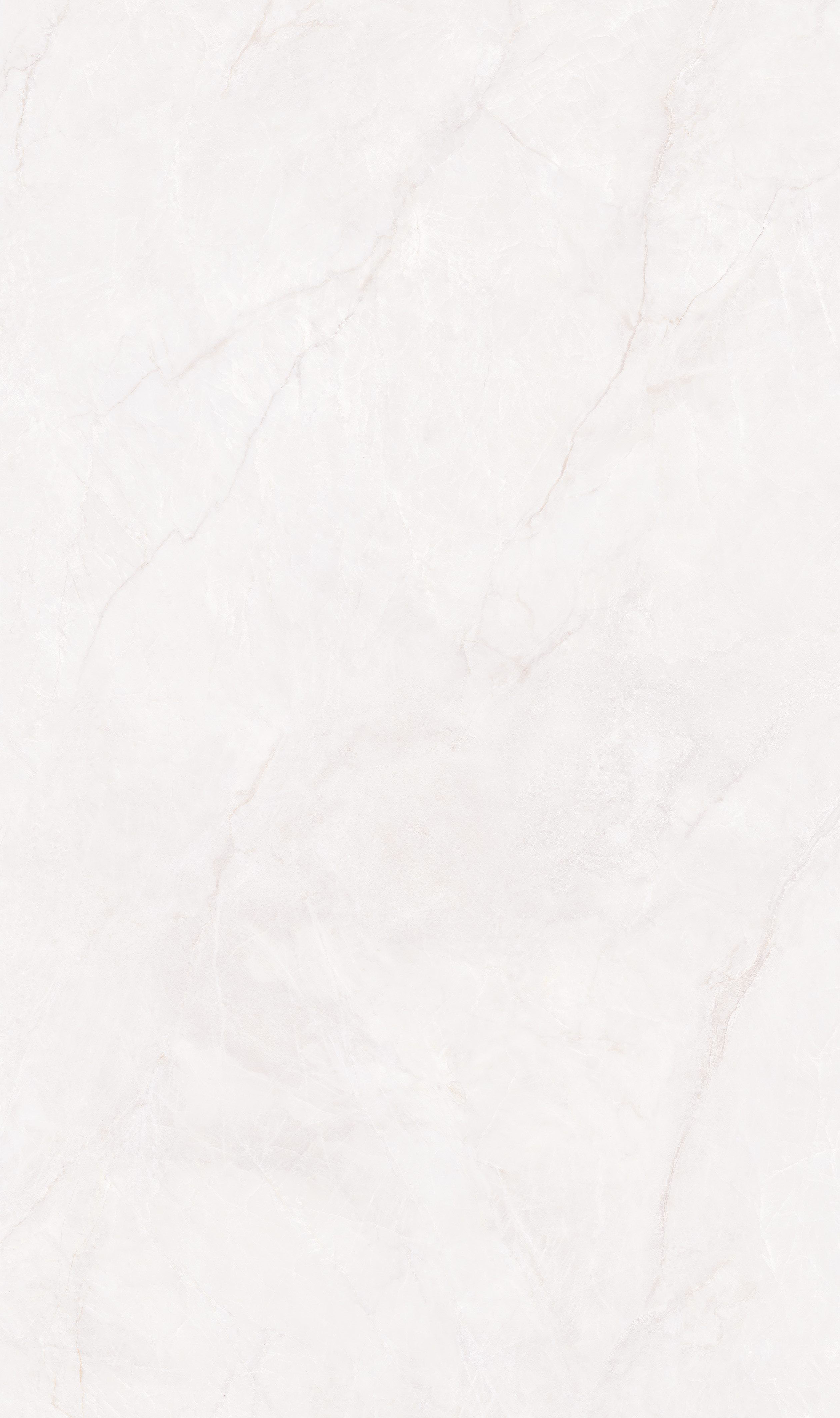 云絮 Q8135ZS261C 產品圖