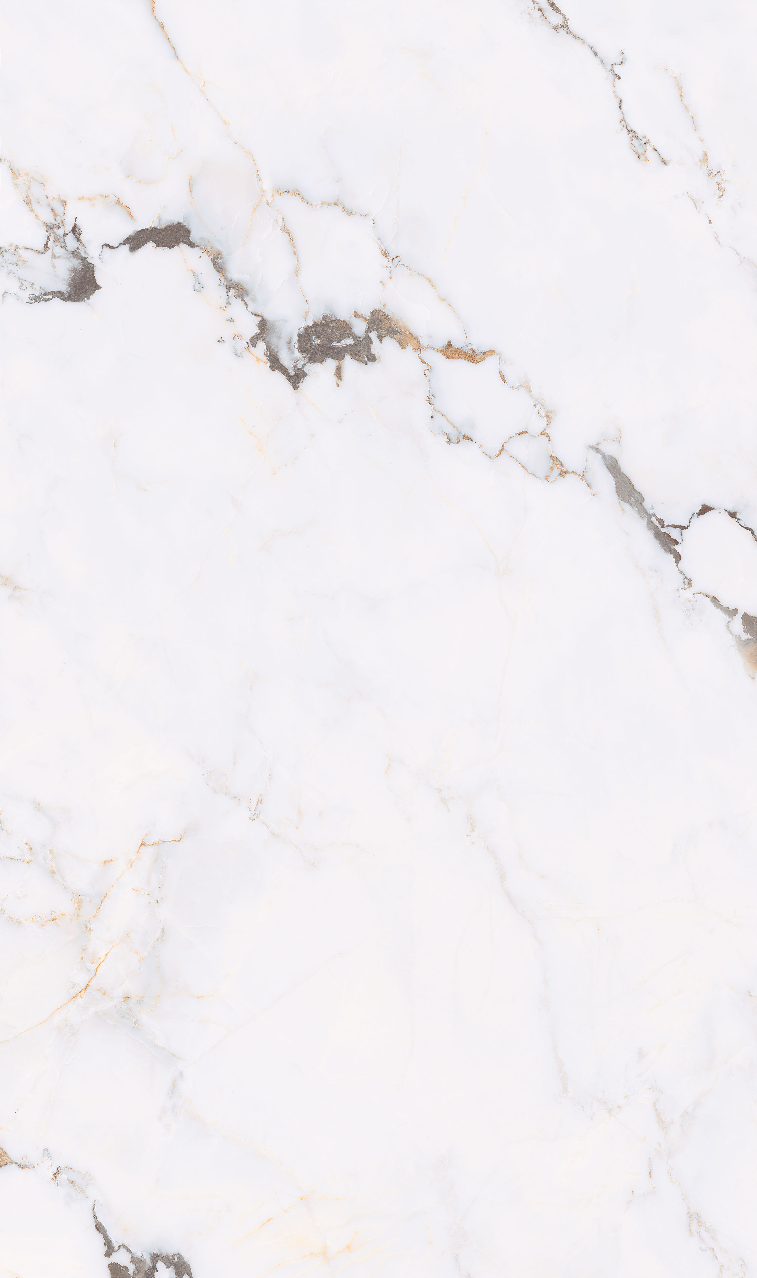 寶格麗 Q8135ZS266C 產品圖