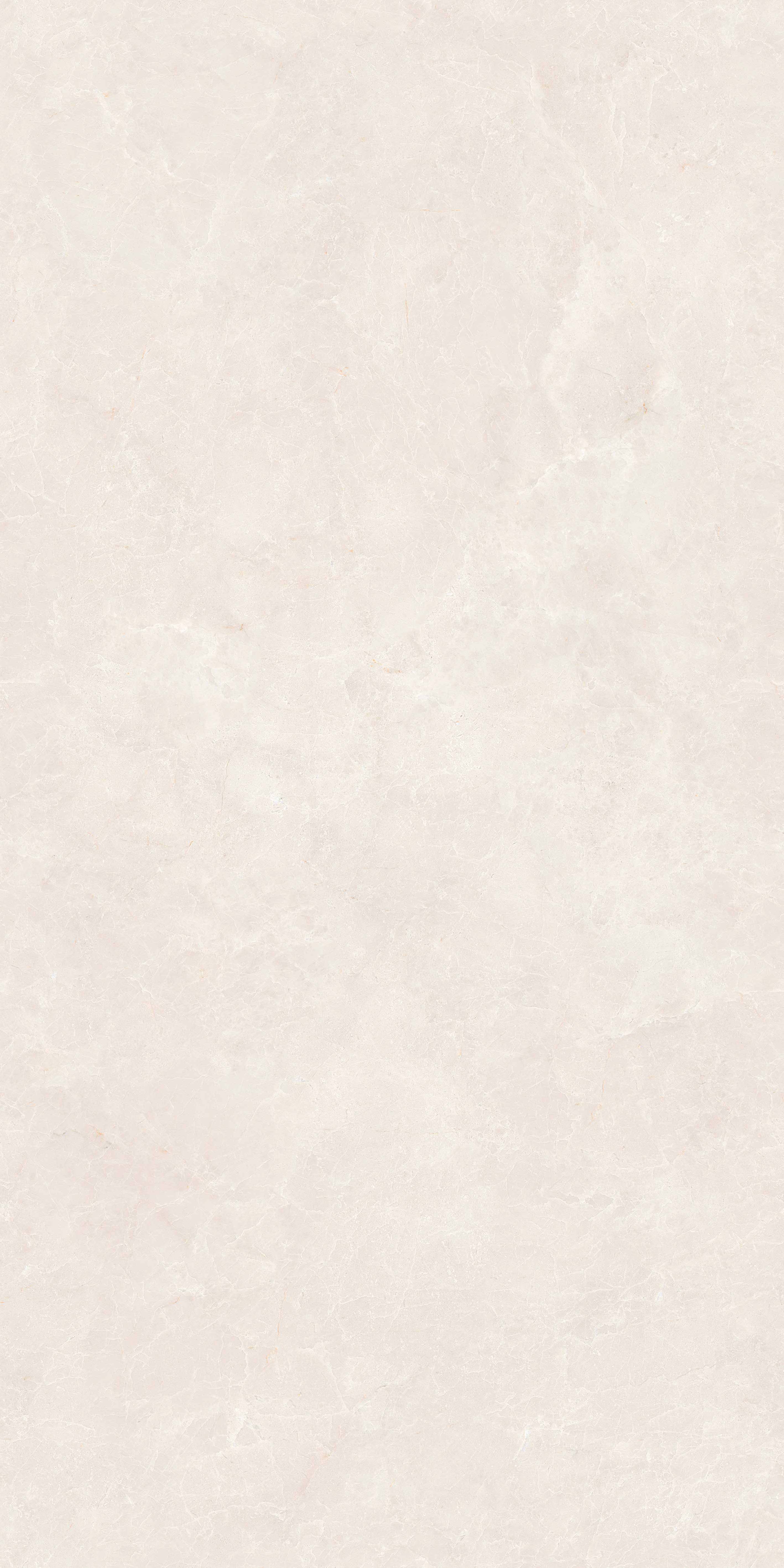 新白玉蘭 DLL715796B 產品圖