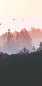 艾特思巖板系列?落日平沙 | 享受光影漫游的藝術(shù)體驗(圖6) 圖片